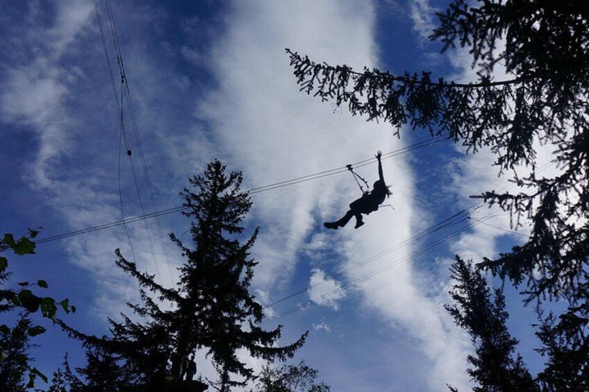 Adventure Parks & Zipline Tour 2