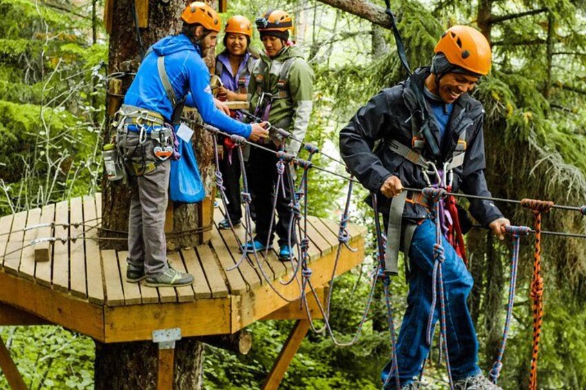 Adventure Parks & Zipline Tour 3
