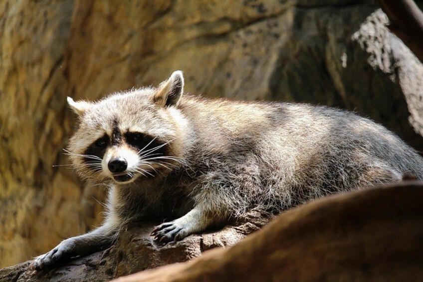 Skip-the-line Montreal Biodome Private Tour with Tickets 2