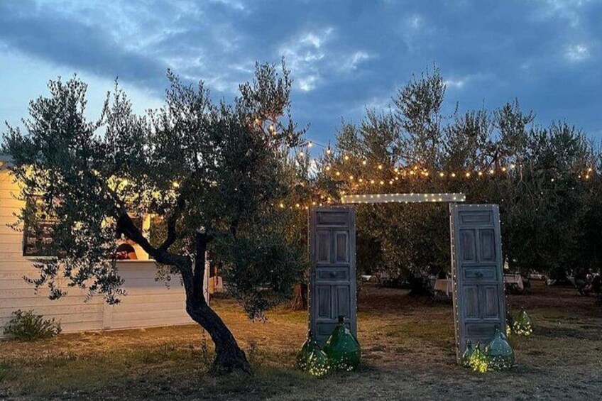 Entorno exterior con un árbol, una estructura de madera y luces colgantes. 2