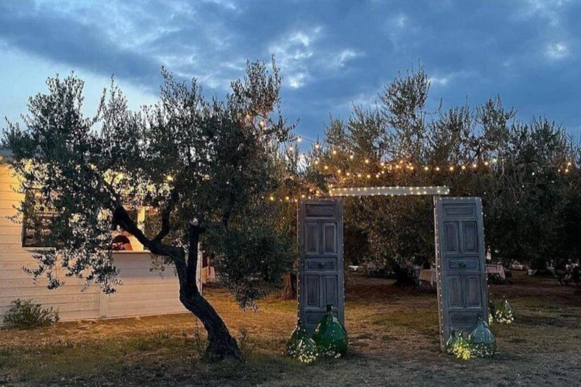 A tree, a wooden structure, and string lights. 2