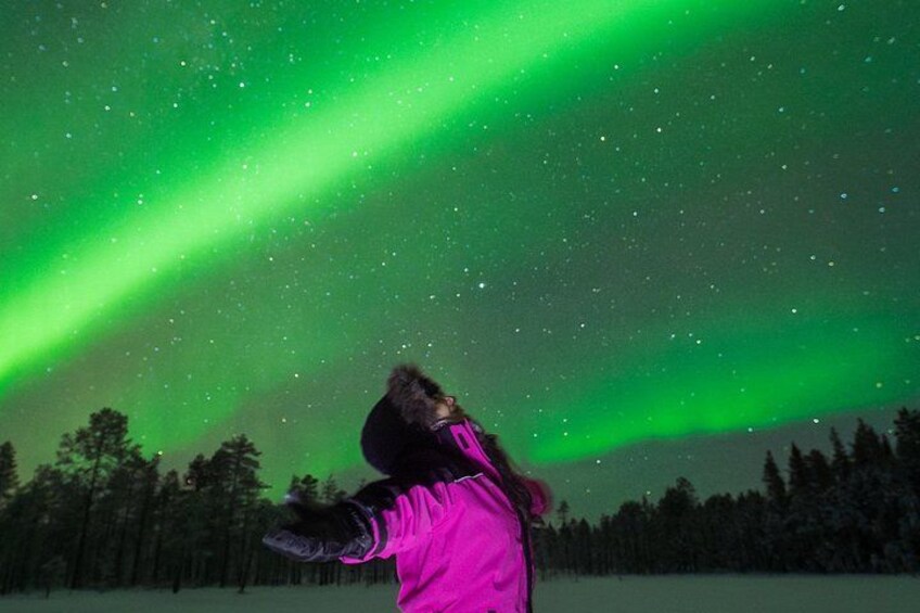 Una persona con un giubbotto rosa che guarda verso il cielo notturno illuminato dall'aurora boreale. 2