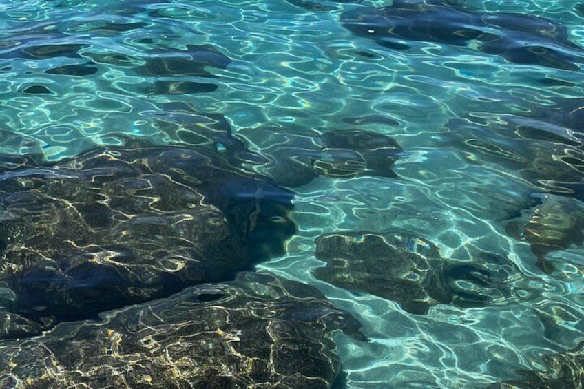 Lake Tahoe Clear Kayak Tour at Sand Harbor with Small Groups 2