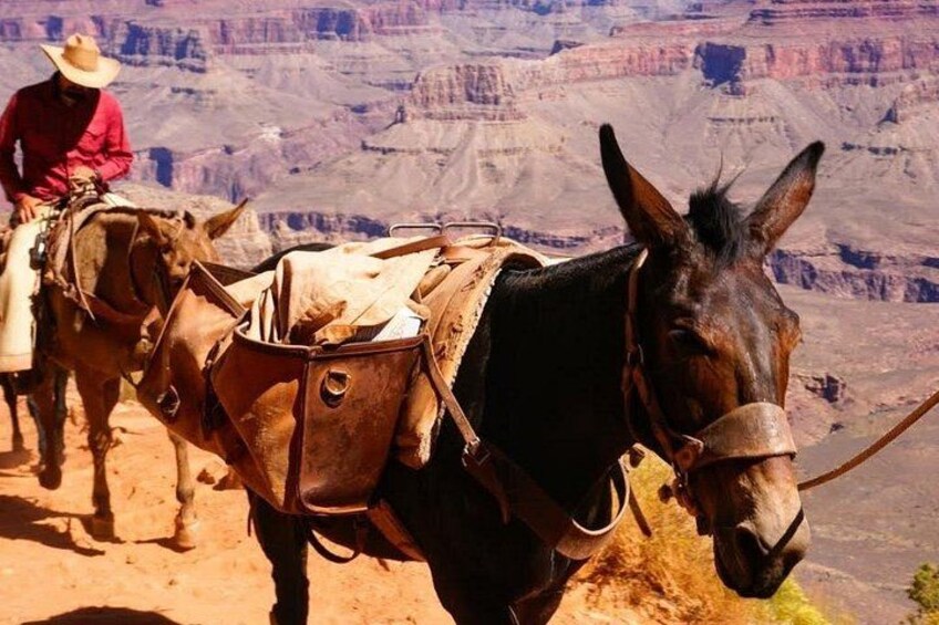 Grand Canyon South Kaibab Day Hike 2
