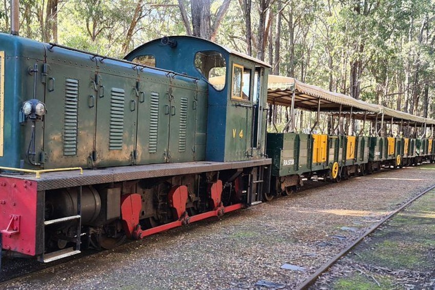 A vintage train with green and yellow carriages parked on tracks surrounded by trees. 1