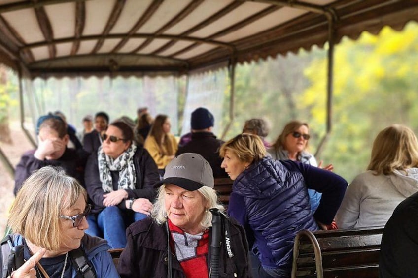People seated under a covered area with trees in the background. 2