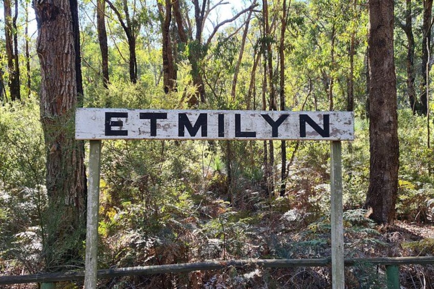A weathered sign with the name 'ETMILYN' in a forested area. 4