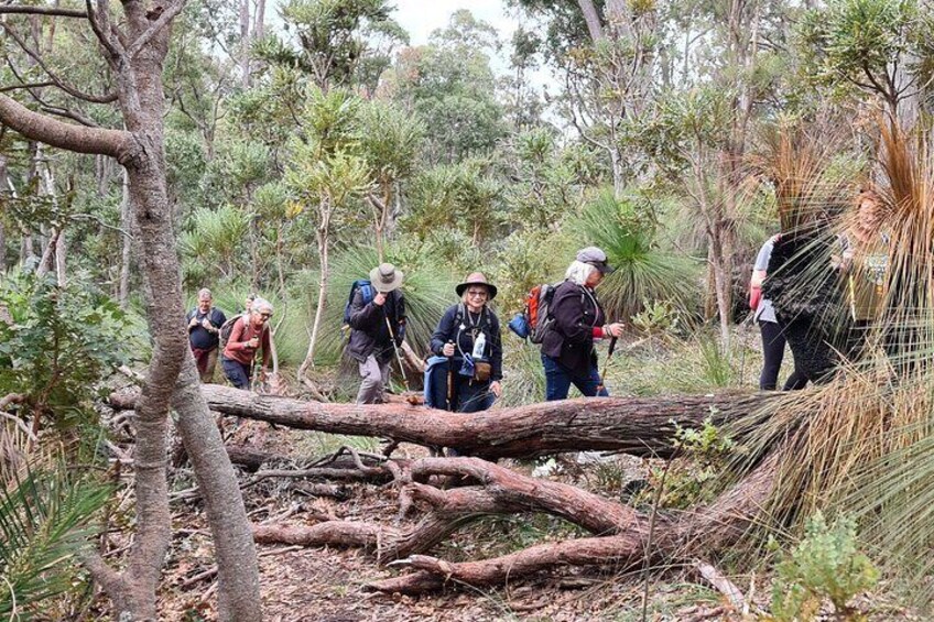 Dwellingup Trains, Trails & Woodfired Delights Full Day Tour 2