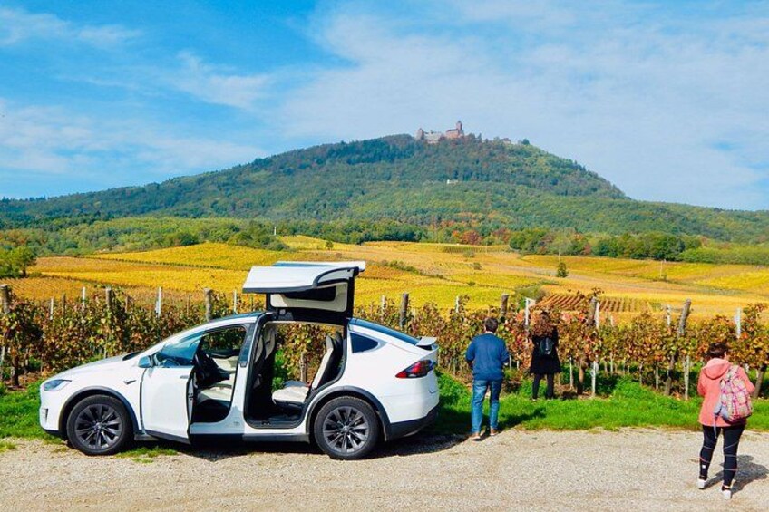 5H00 ALSACE PRIVATE TOUR-Castle, Villages, Wine, Friendly Driver 1