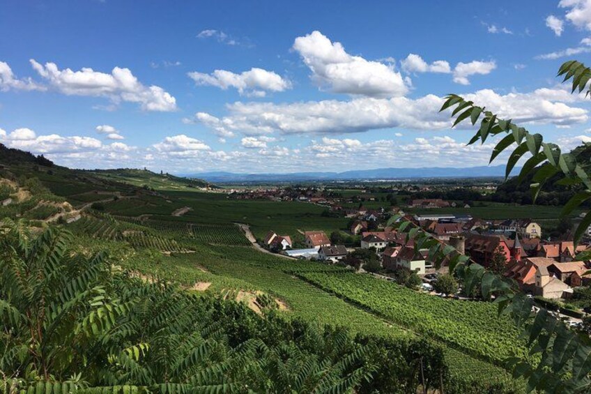 5H00 ALSACE PRIVATE TOUR-Castle, Villages, Wine, Friendly Driver 2