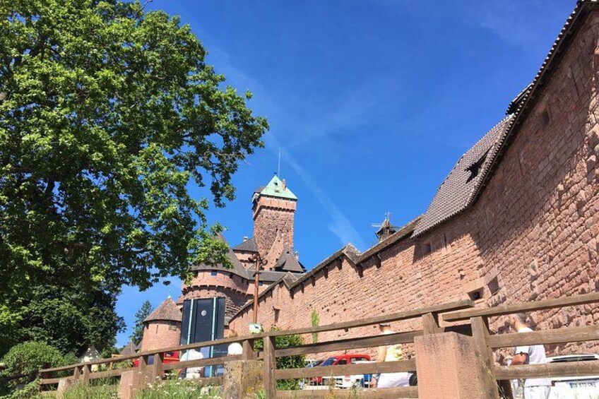 5H00 ALSACE PRIVATE TOUR-Castle, Villages, Wine, Friendly Driver 3