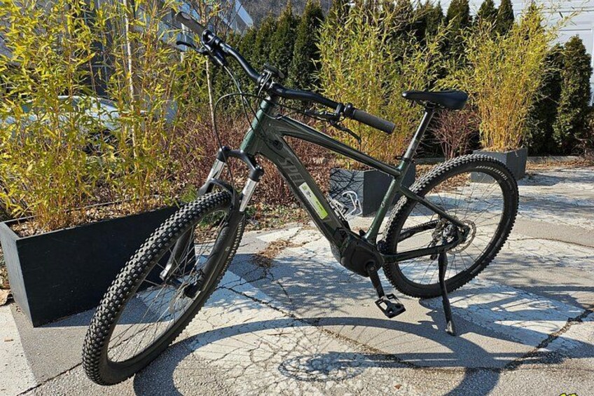 En mountainbike parkerad på en betongyta, med en blomlåda och växter i bakgrunden. 4