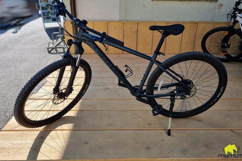En mountainbike parkerad på ett trädäck. 5