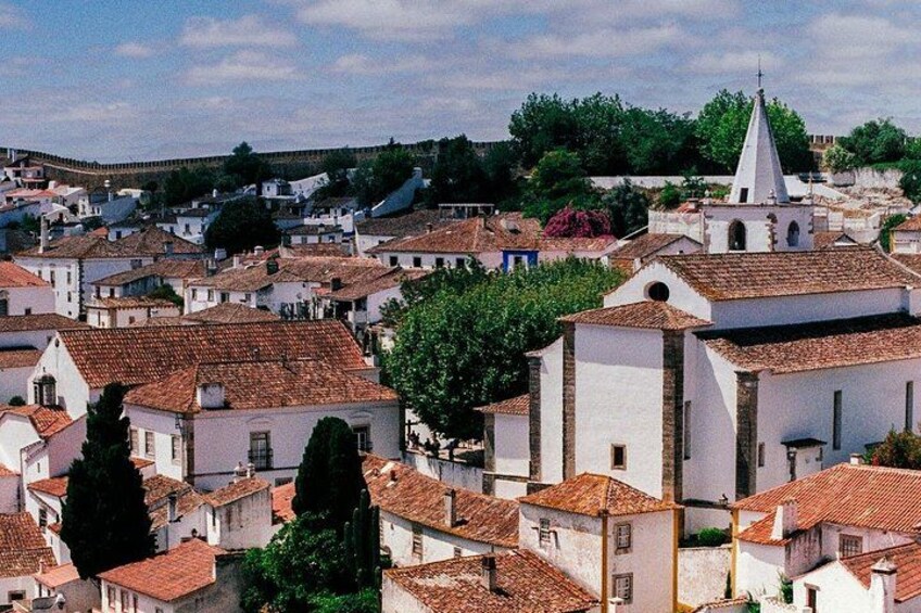 Obids 3