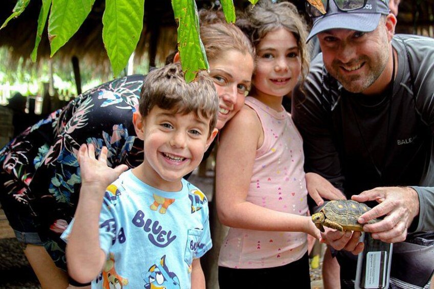 2x1: Monkeys Land Plus Drive a Dune Buggy in Puerto Plata 3