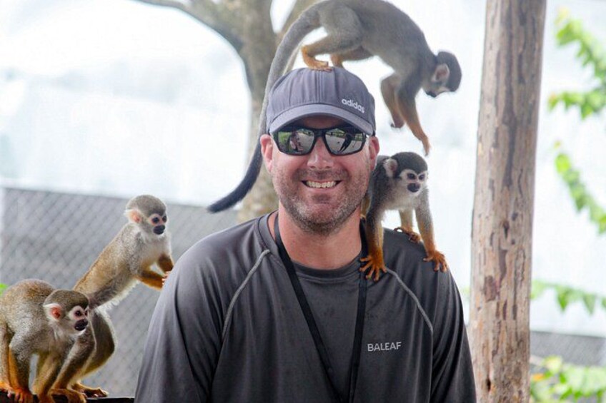 2x1: Monkeys Land Plus Drive a Dune Buggy in Puerto Plata 4