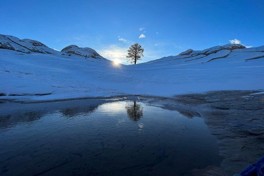 A snowy landscape with a frozen lake, a lone tree, and mountains in the background. 5