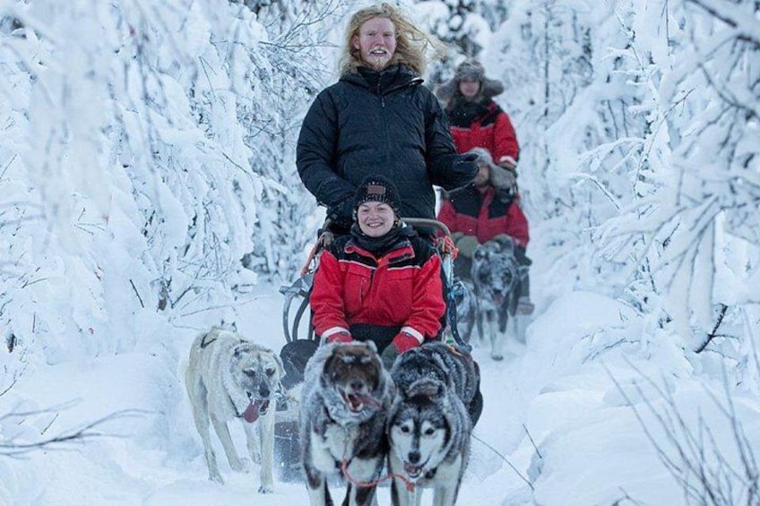 En person i en röd jacka åker på en släde som dras av huskys i en snötäckt skog. 3