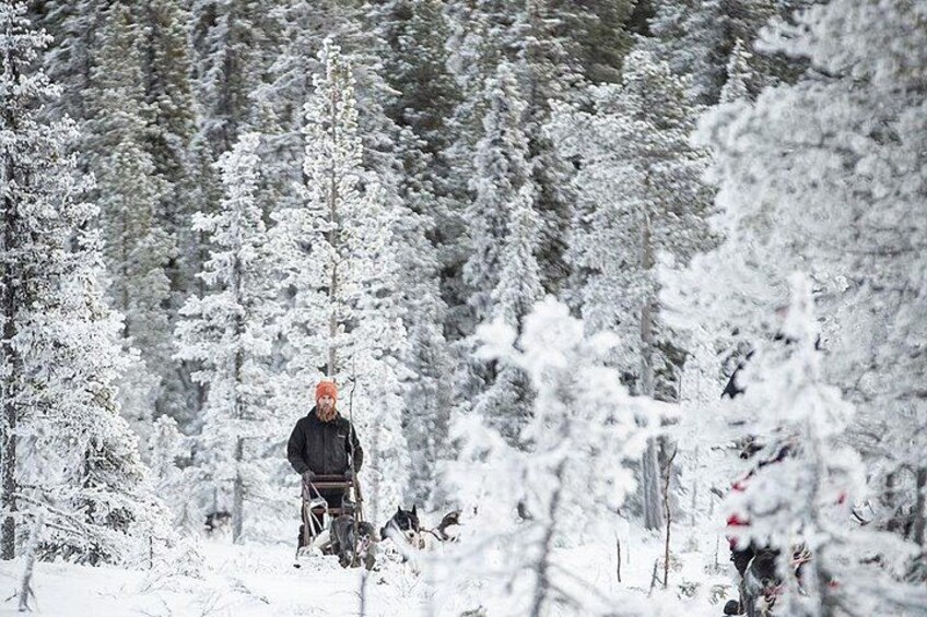 En person med en svart jacka och en orange hatt som står i en snöig skog. 5