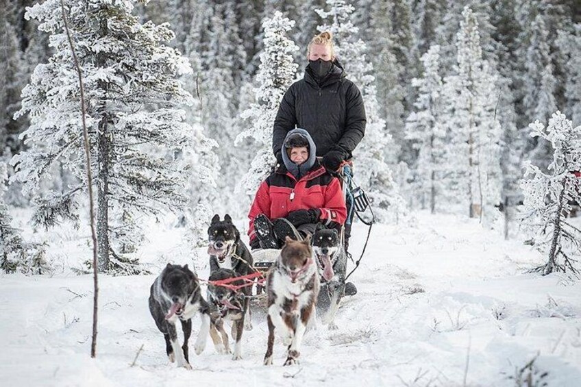 En person i en röd jacka åker på en släde som dras av huskys i en snötäckt skog. 4