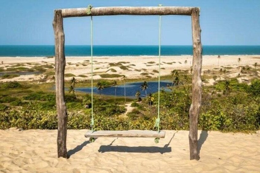 A wooden swing set on a sandy beach with a view of the ocean and palm trees. 4