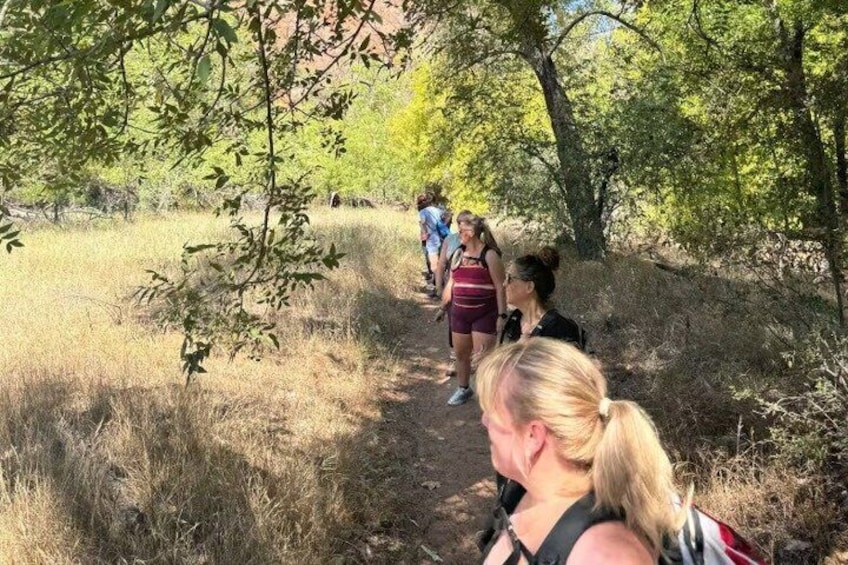 Sedona Public Hiking and Yoga Experience 5