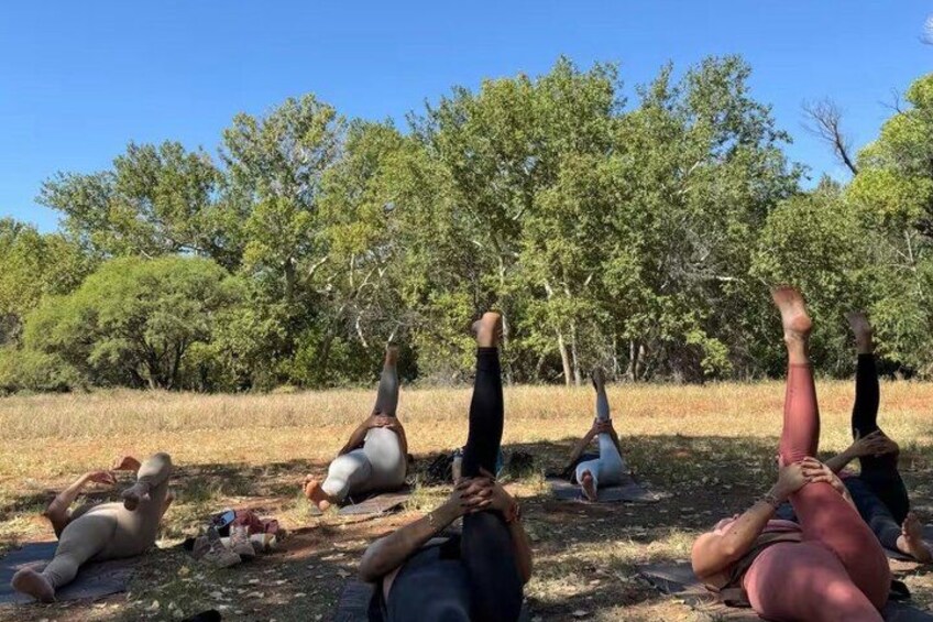 Personer som utövar yoga utomhus med träd i bakgrunden. 4