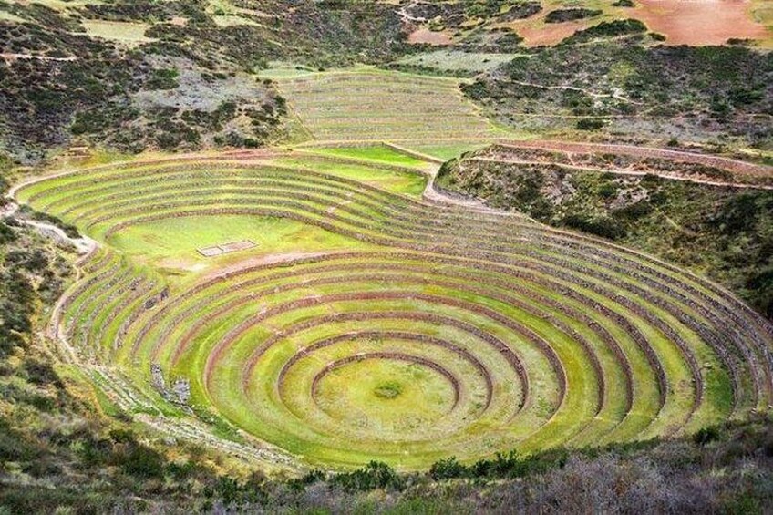 Un campo agricolo a terrazze con cerchi concentrici di colture. 5