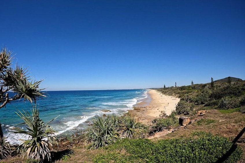 Stunning Coastal Views from Pt Arkwright: Mt Coolum and Coral Sea Surf 1