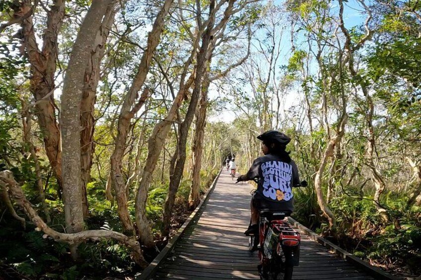 Family-Friendly Educational Adventure: Exploring the Scenic Tree Tunnel on the Easy Peasy Novotel North e-Bike Tour 3