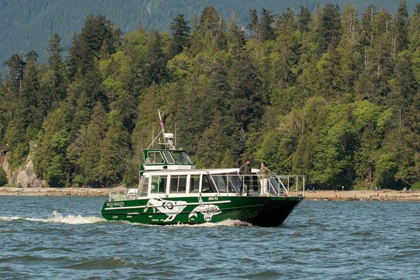 A green and white boat with passengers on a calm body of water, surrounded by dense forest. 1