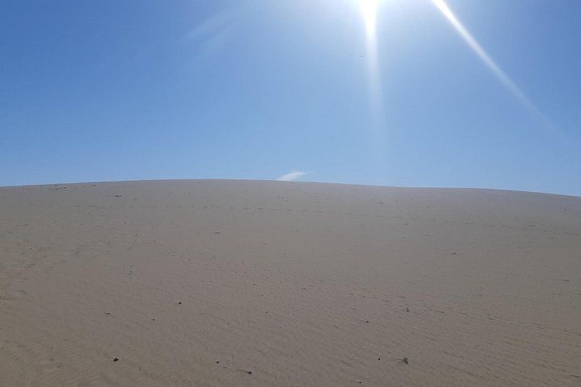 A vast desert landscape with a clear sky and the sun shining brightly. 1