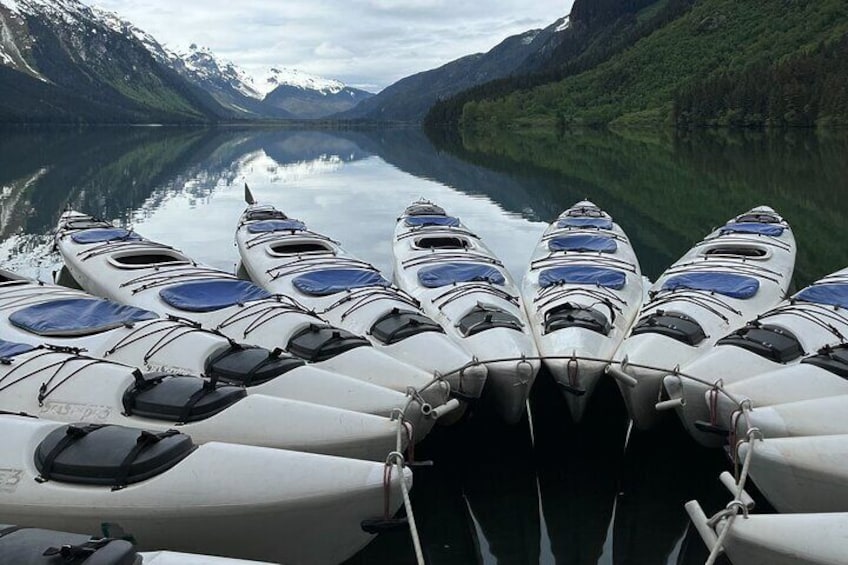 A row of kayaks lined up on a calm lake with mountains in the background. 2