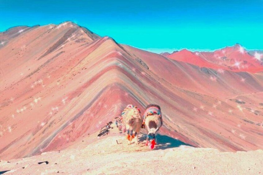 A mountainous landscape with two llamas and a person. 2