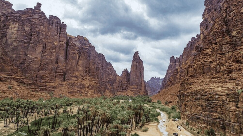 Picture 3 for Activity Wadi Al Disah Day Tour From Al Ula 2