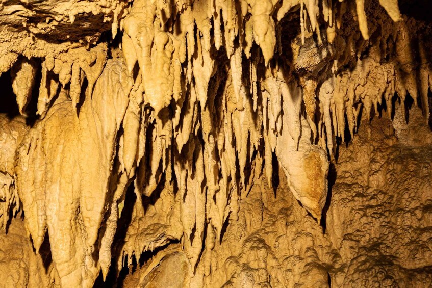 Picture 10 for Activity Levigliani: Visit to the Antro del Corchia Cave 3