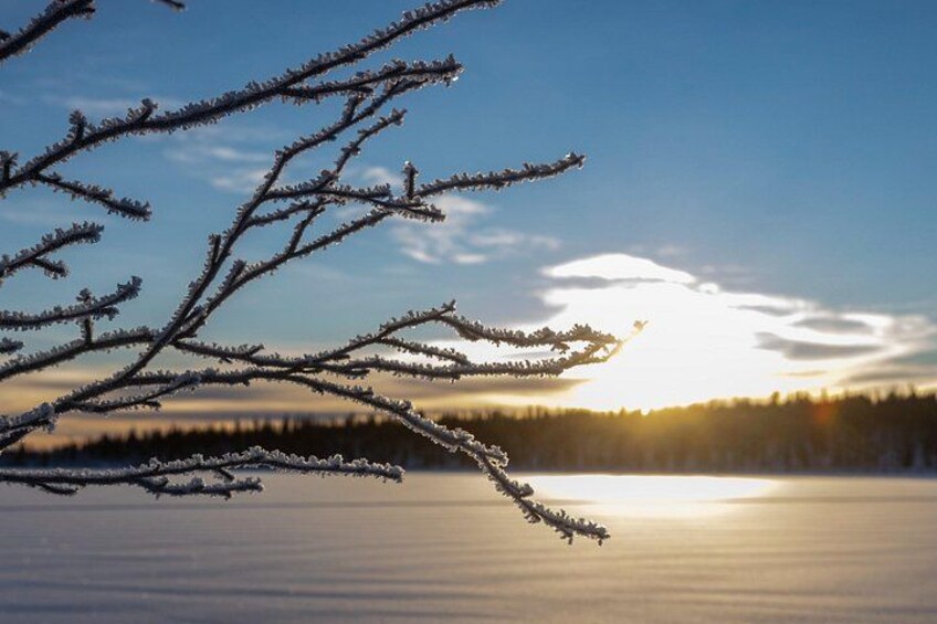 Une branche givrée se détachant sur le ciel d’un coucher de soleil surplombant un lac gelé. 2