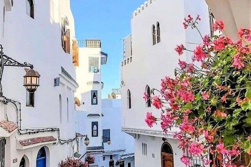 Walking Tangier Tour from ancient Kasba to Bustling Souks 5