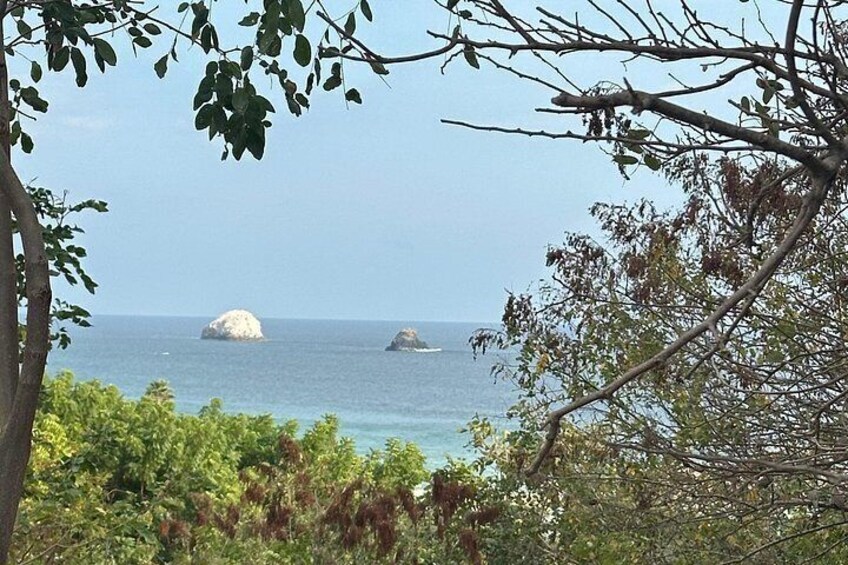 Private Day Trip to Mazunte and Zipolite 2