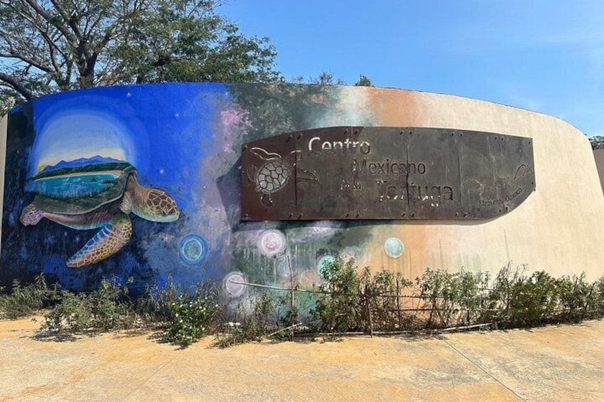 Private Day Trip to Mazunte and Zipolite 3