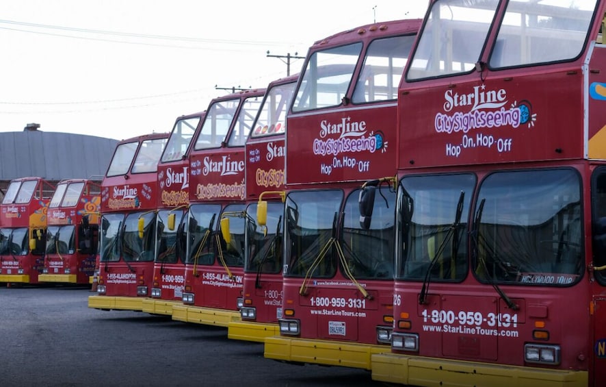 Rivi punaisia, kaksikerroksisia busseja, joissa on «StarLine CitySightseeing» -brändin logo ja yhteystiedot. 5