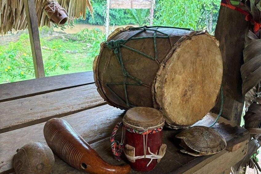 5-Star Embera Village Tour | Waterfall, Lunch & River 4
