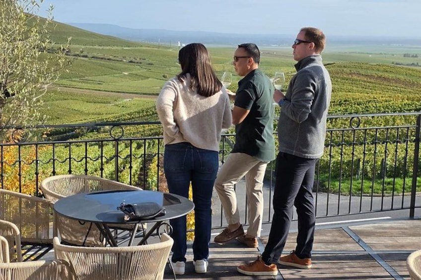 En gruppe mennesker står på en terrasse med udsigt over en vingård. 3