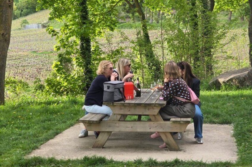 En gruppe mennesker sidder ved et picnicbord i en græsplæde, med træer i baggrunden. 2