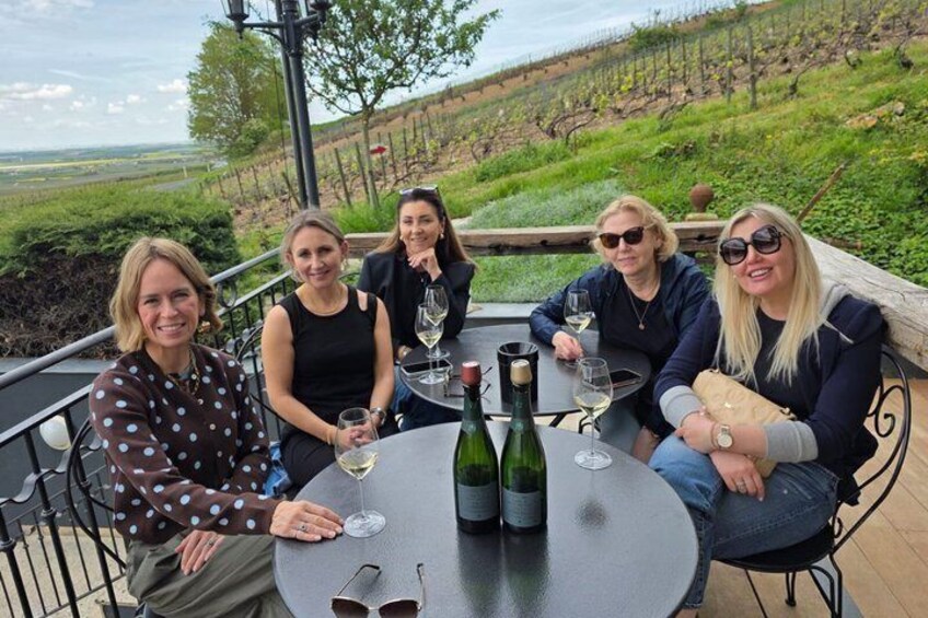 En gruppe mennesker sidder ved et udendørs bord med vinflasker og glas, med udsigt over en vingård. 3