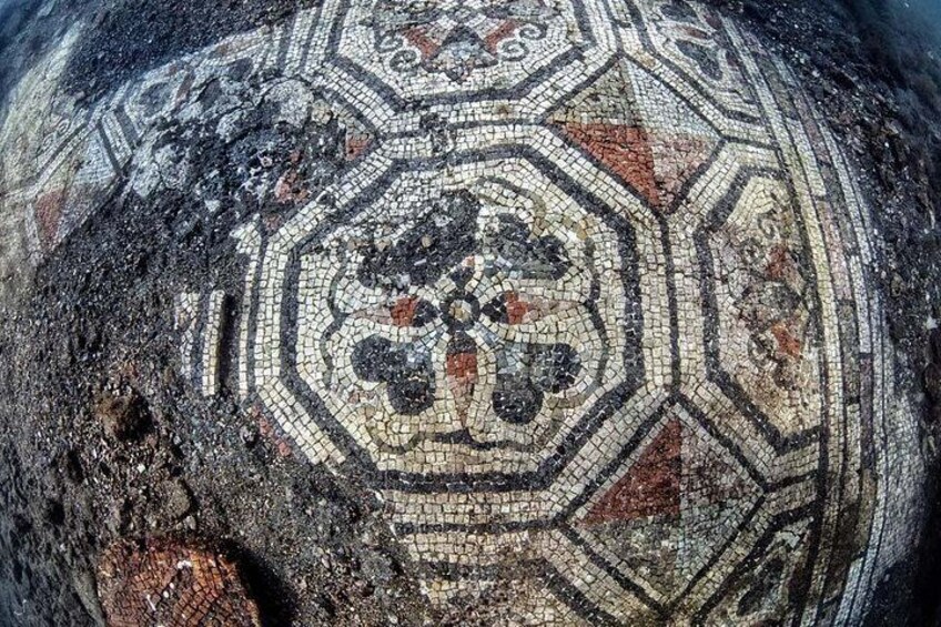 Mosaic of the cornflowers of the Terme del Lacus 2