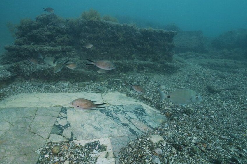 Snorkeling in the Bay Submerged Park 2