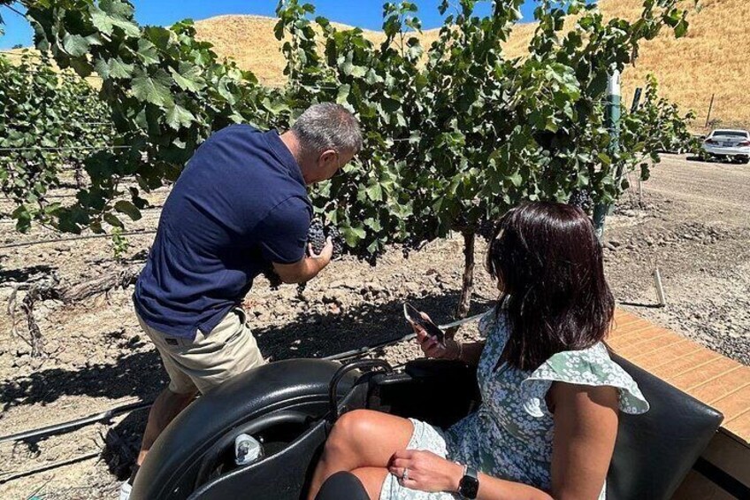 Vineyard Tour San Luis Obispo Sidecar Wine Adventure 2