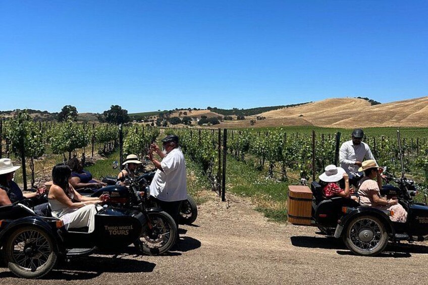 Vineyard Tour San Luis Obispo Sidecar Wine Adventure 5