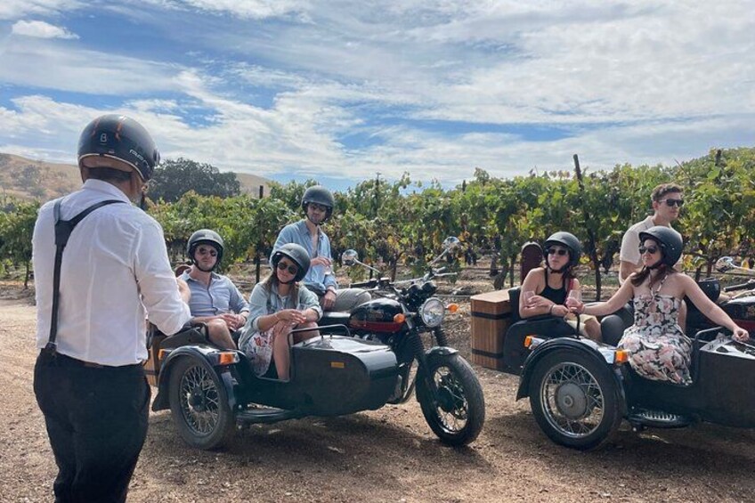 A group of people on motorcycles with sidecars in a vineyard. 5